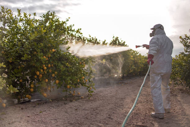 Best Pest Removal Services  in Hartford, WI