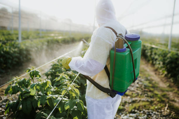 Best Pest Prevention Services  in Hartford, WI